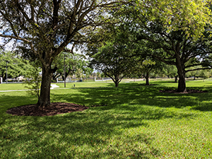 Oak Park Land Trust Conservation Easement Davie Florida March 2019