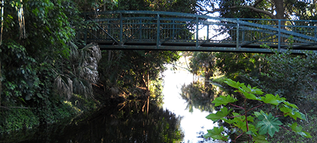 Robbins Park bridge on trail to Flamingo Gardens
