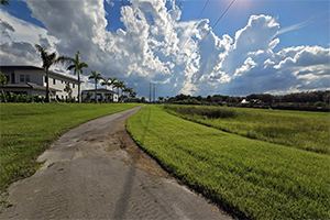 Homes and open space co-exist with conservation easement management by the Davie Land Trust.