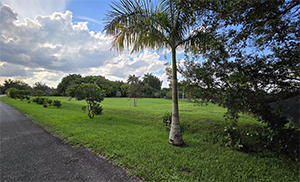 The southeast corner of the Zona West easement.