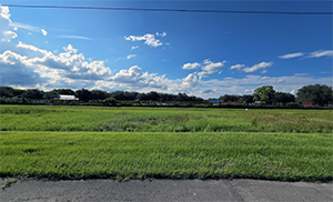 Davie Land Trust monitors conservation easement open space