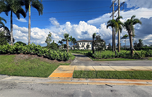 Developer maintained plantings at the Zona West conservation easement.