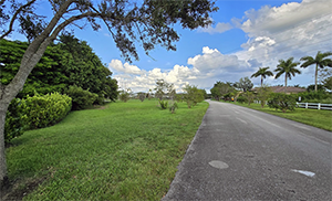 Looking north at the Zona West conservation easement-Davie Land Trust