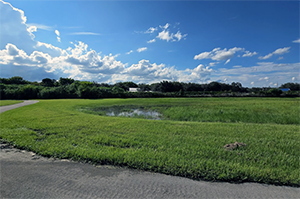 Zona West conservation easement areas managed by the Davie Area Land Trust- open space and trail.